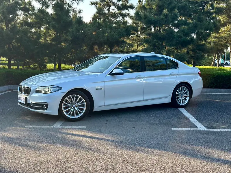 BMW 5-Series, 2017
