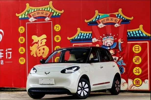 Wuling Bingo, 2024