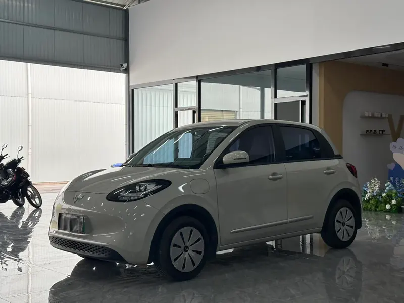 Wuling Bingo, 2024