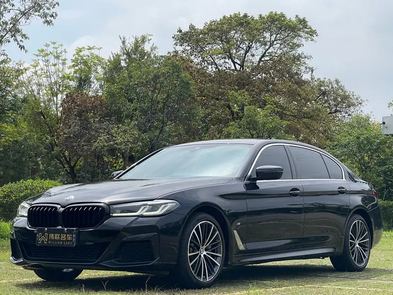 BMW 5-Series, 2021
