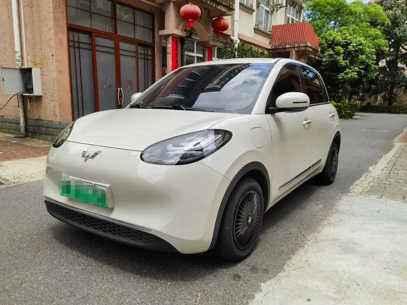 Wuling Bingo, 2024