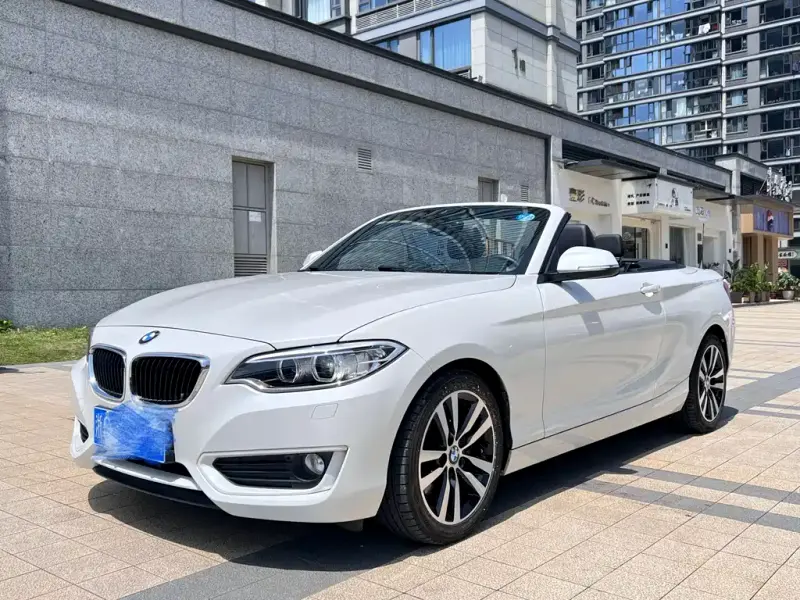 BMW 2 Series (Import), 2016