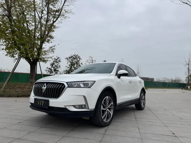 Borgward BX6, 2018