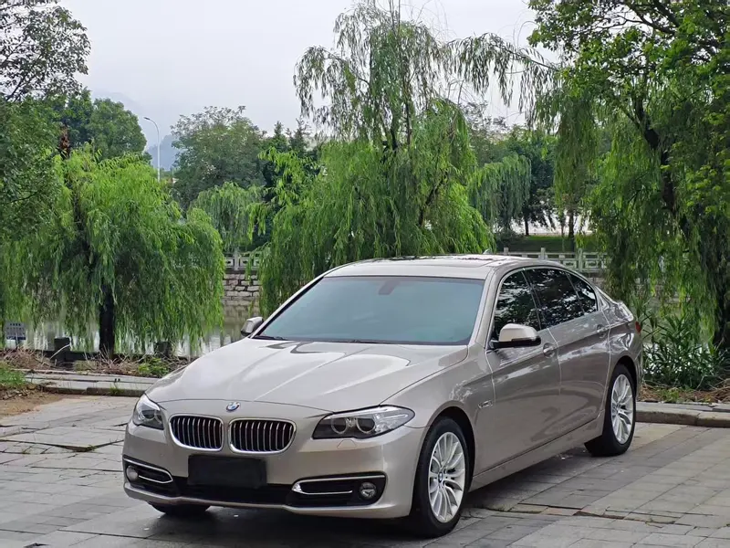 BMW 5-Series, 2017