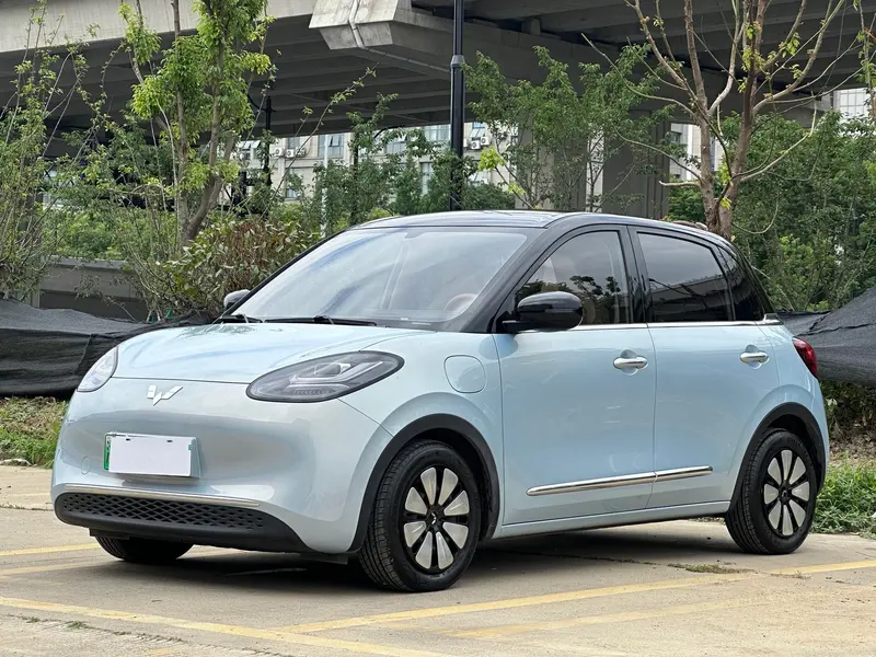 Wuling Bingo, 2025