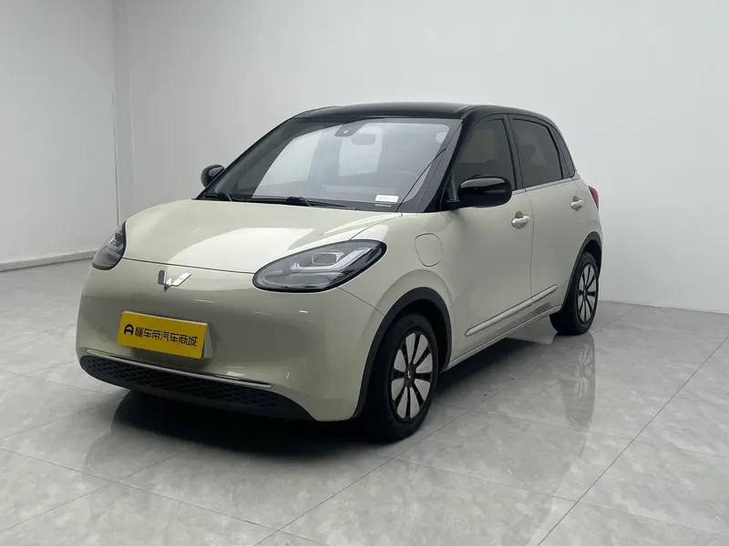 Wuling Bingo, 2023