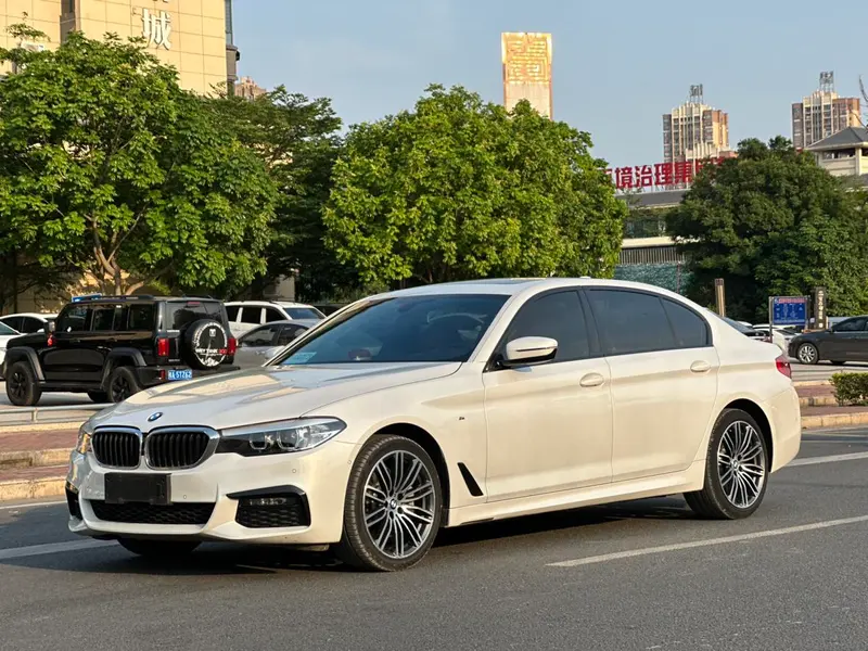 BMW 5-Series, 2019