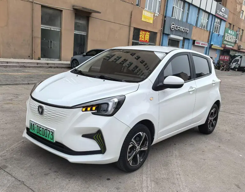 Changan Oshan Benni E-Star, 2020