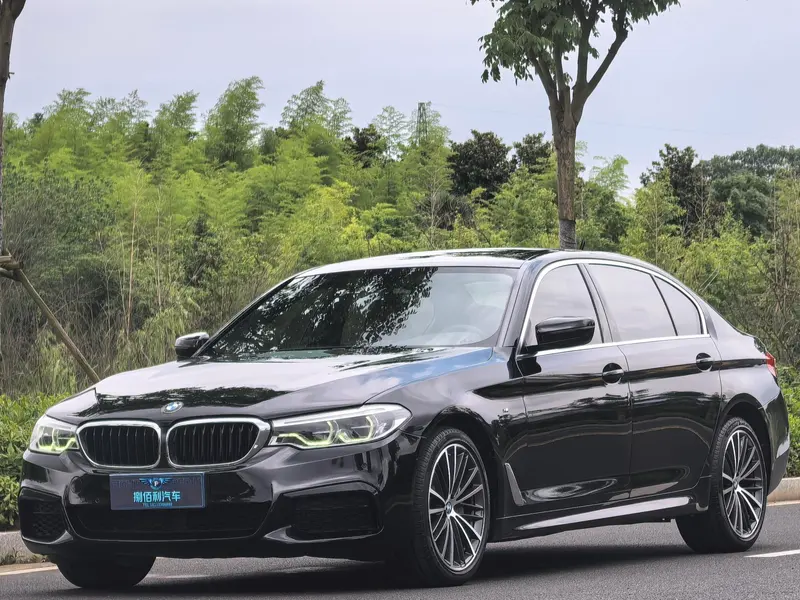BMW 5-Series, 2020