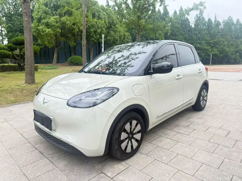 Wuling Bingo, 2023