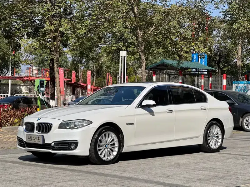 BMW 5 Series, 2014
