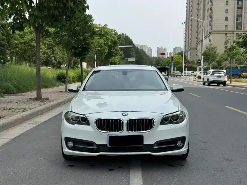 BMW 5 Series, 2014