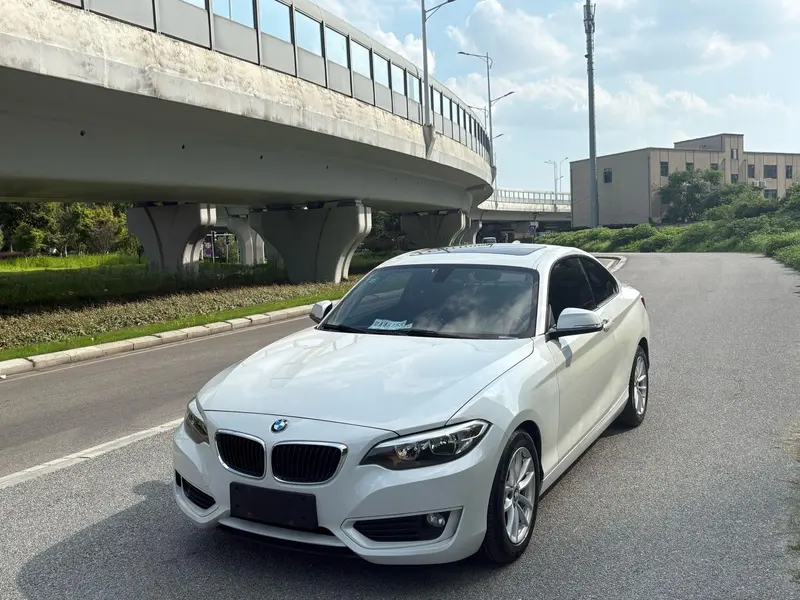 BMW 2-Series (Import), 2015