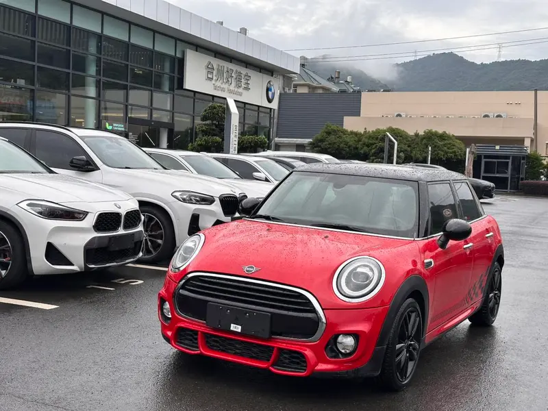 MINI MINI, 2018