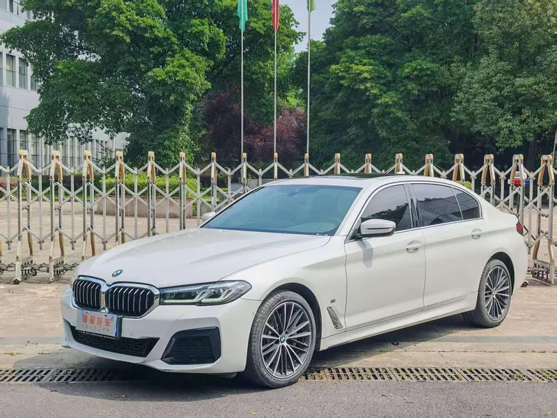 BMW 5-Series 530Li Leading Version M Sport, 2022 — фото 1