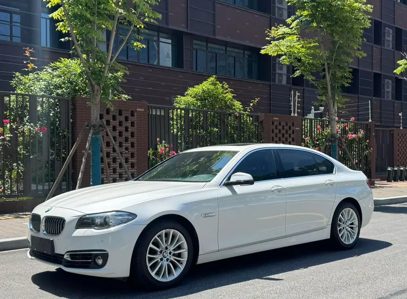 BMW 5-Series, 2014