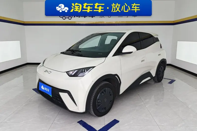 BYD Seagull, 2024