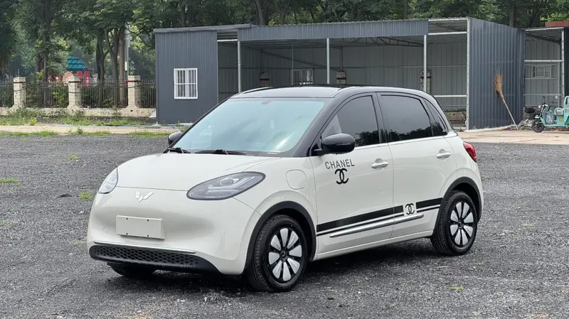 Wuling Bingo, 2024