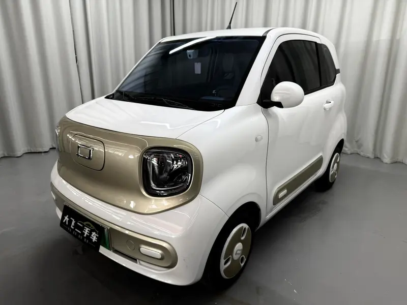 Besturn Bestune Pony, 2024