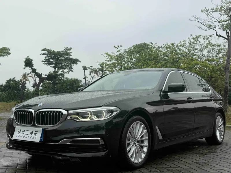 BMW 5-Series, 2020