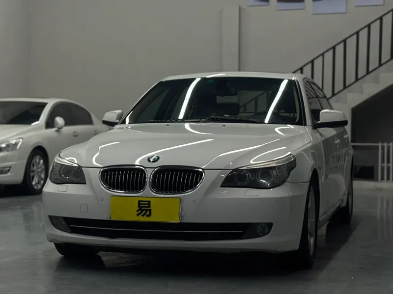 BMW 5-Series, 2010