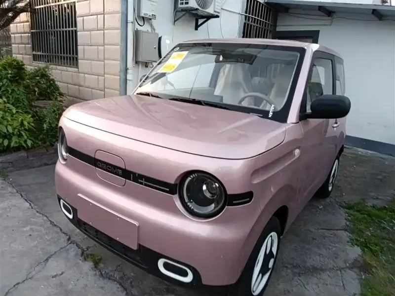 Galaxy Panda, 2025