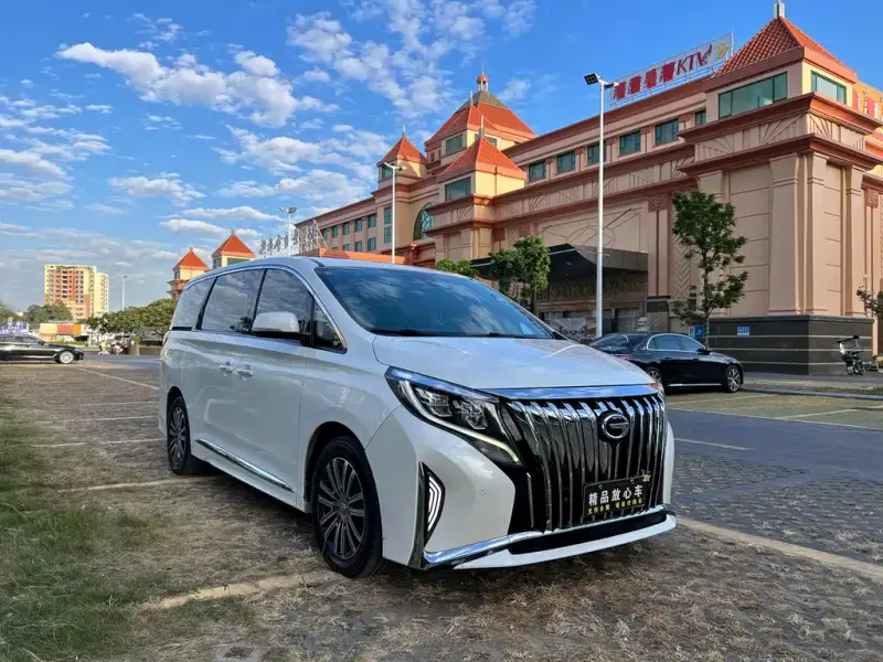 GAC Motor Trumpchi M8, 2022
