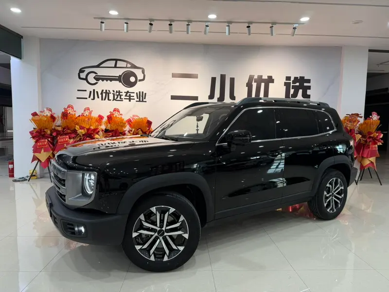 Haval Big Dog, 2024