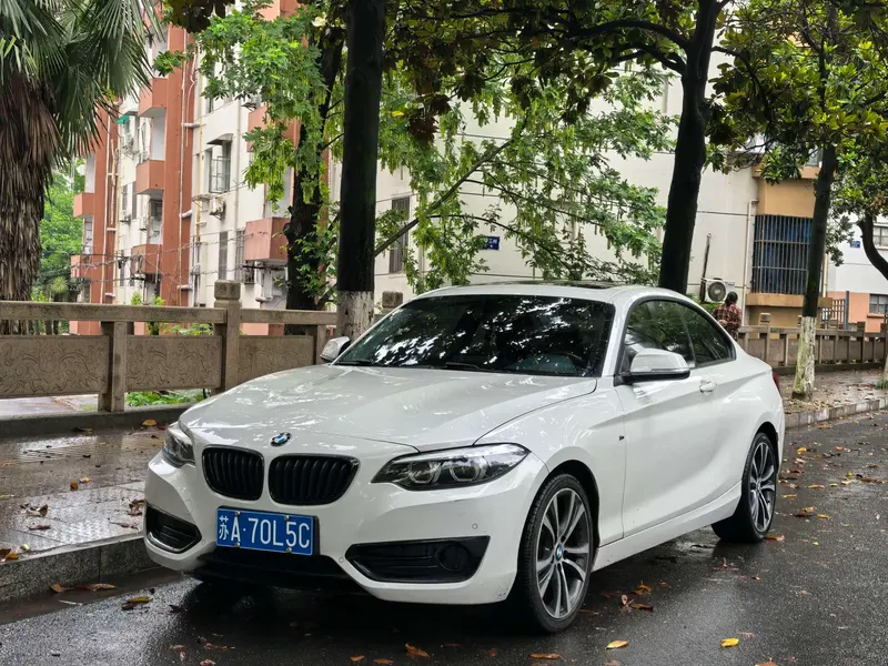 BMW 2-Series (Import), 2019