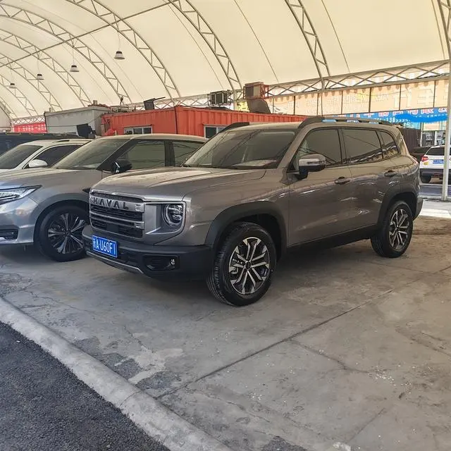 Haval Big Dog, 2024