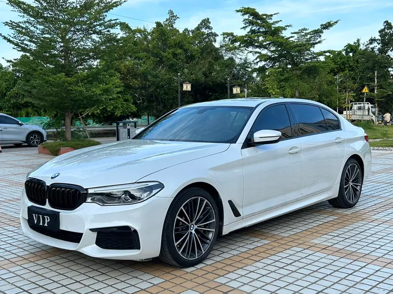BMW 5-Series, 2020