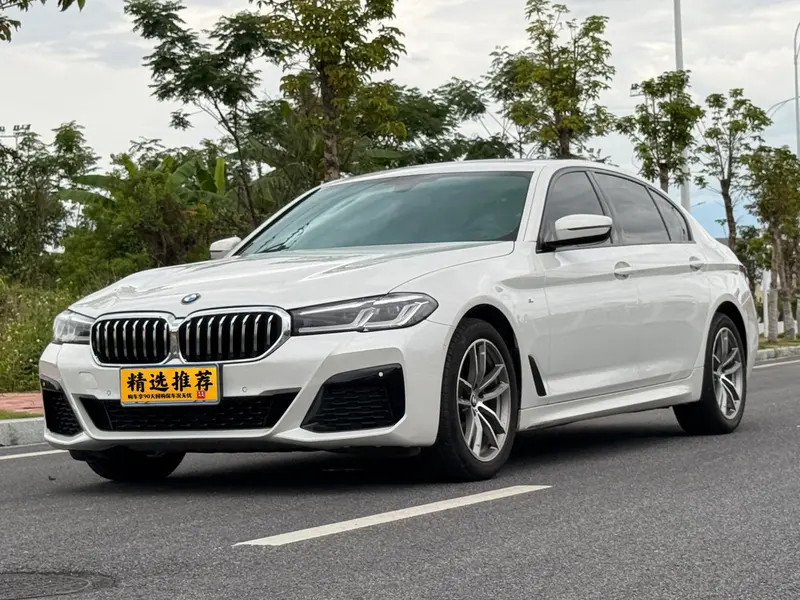 BMW 5-Series, 2019