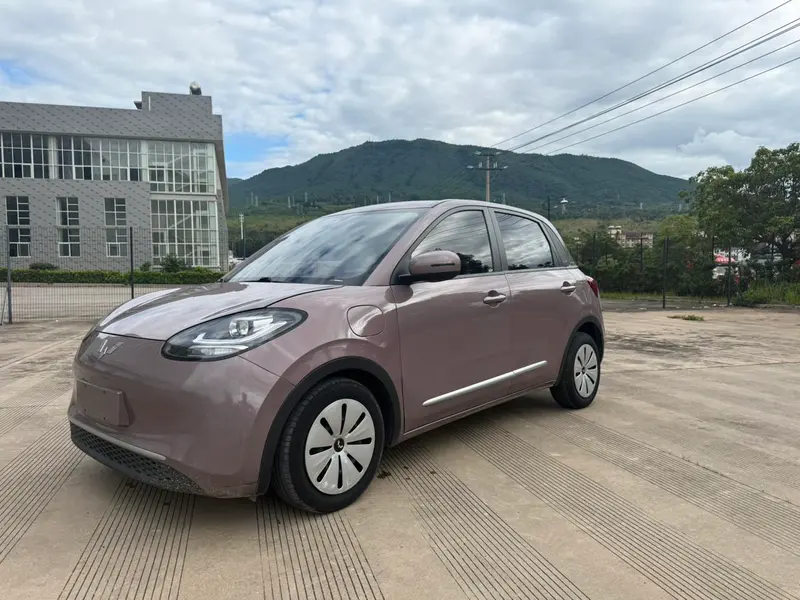 Wuling Bingo, 2023