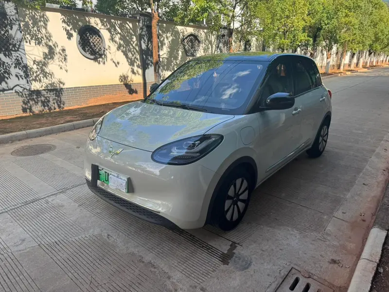 Wuling Bingo, 2023