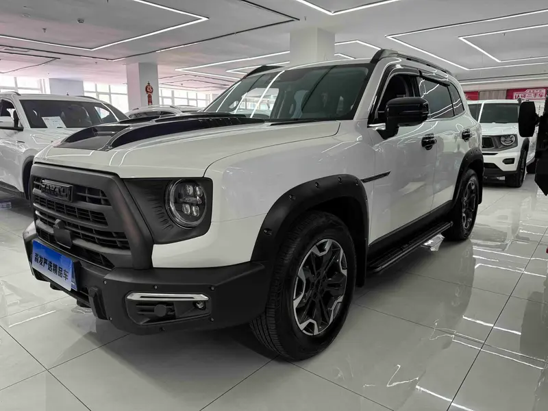 Haval Big Dog, 2024