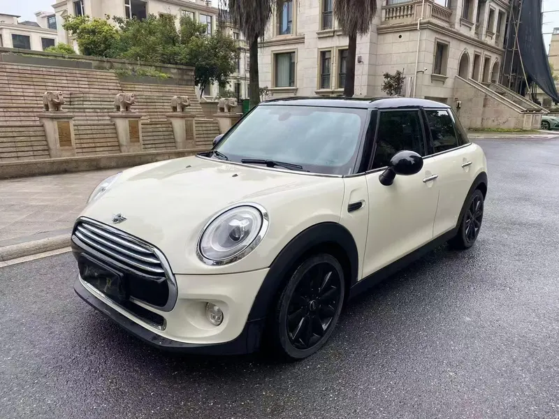 MINI MINI, 2017