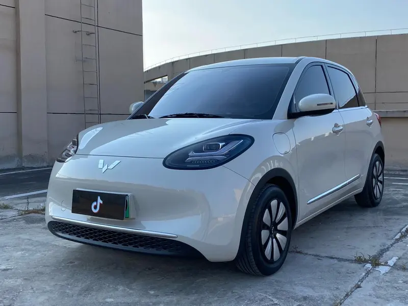 Wuling Bingo, 2023