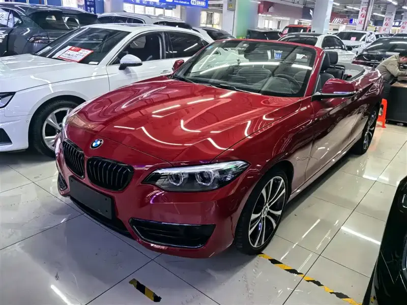 BMW 2 Series (Import), 2019