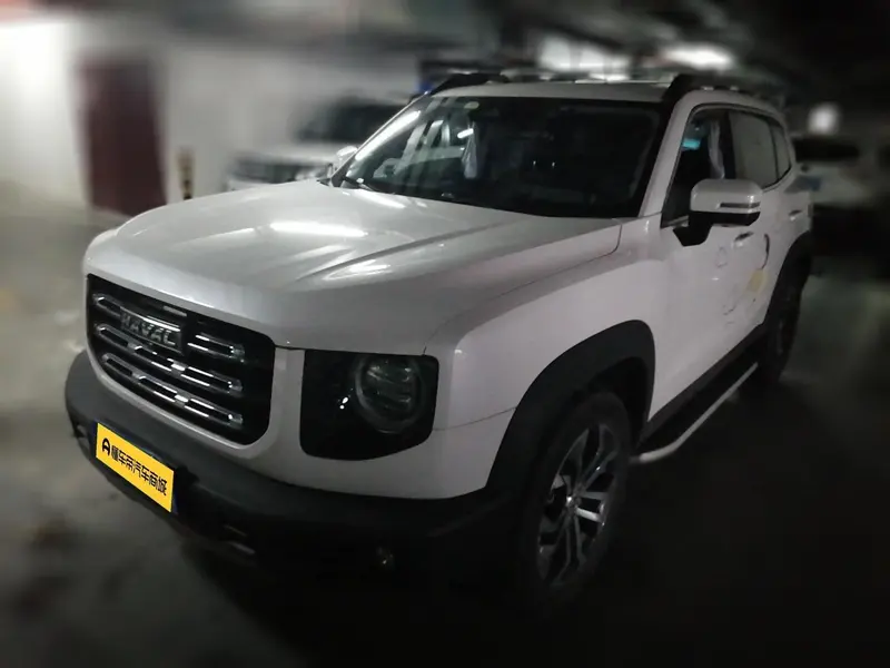 Haval Big Dog, 2021
