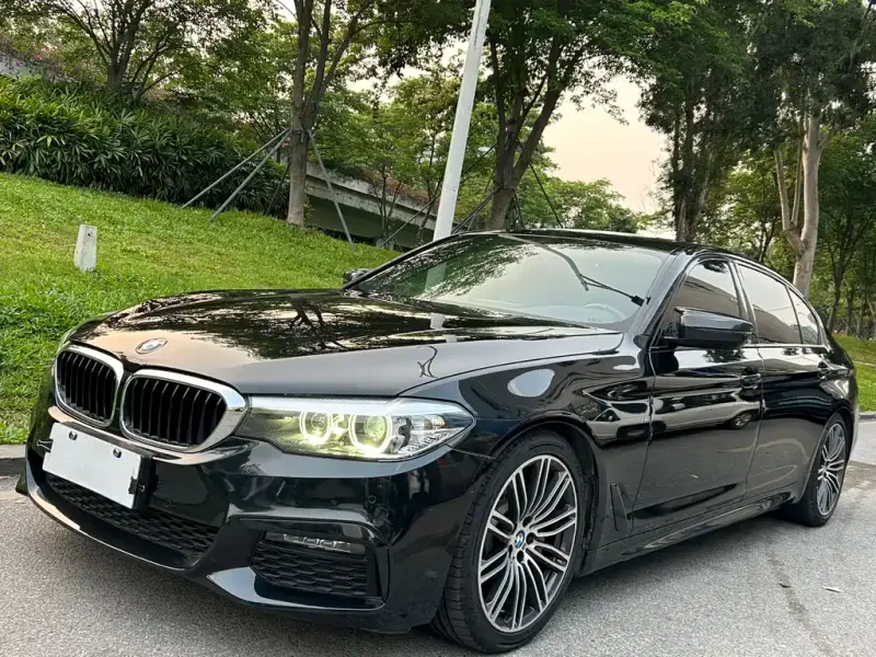 BMW 5 Series, 2019