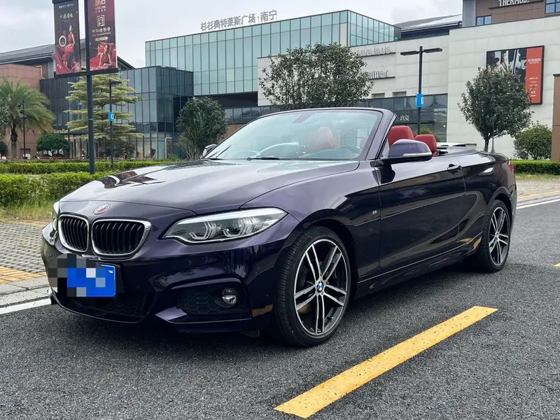 BMW 2-Series (Import), 2019