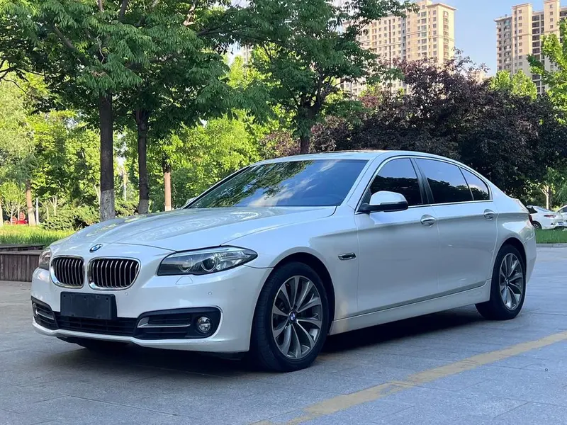 BMW 5-Series 528Li Leading Version, 2017 — фото 1