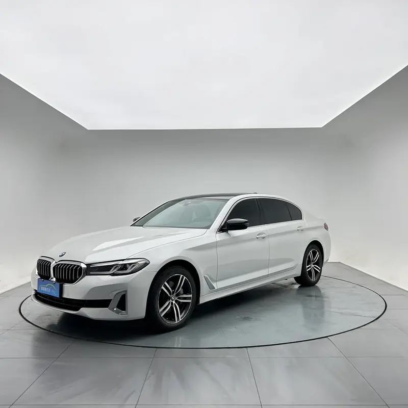 BMW 5-Series 530Li Leading Version Luxury, 2021 — фото 1