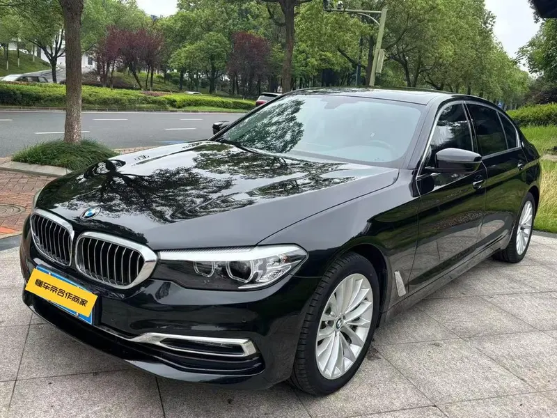 BMW 5-Series 530Li Leading Version Luxury, 2019 — фото 1