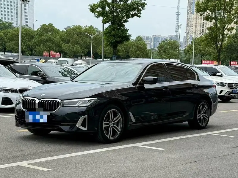 BMW 5-Series 530Li Leading Version Luxury, 2022 — фото 1