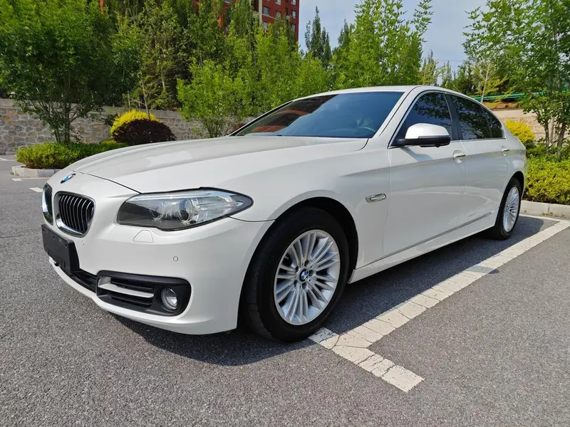 BMW 5-Series 525Li Leading Version, 2014 — фото 1