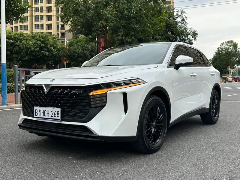 Venucia Big V 260T Edition, 2022 — фото 1
