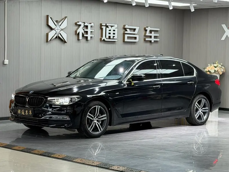 BMW 5-Series 530Li Leading Version Luxury, 2018 — фото 1