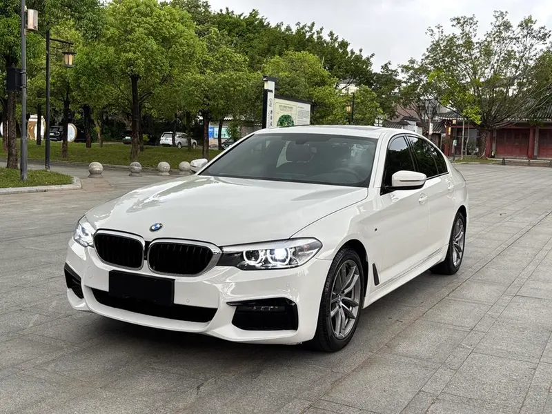 BMW 5-Series (Import) 525i M Sport, 2019 — фото 1