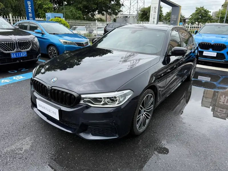 BMW 5-Series 530Li Prestige Version M Sport, 2019 — фото 1